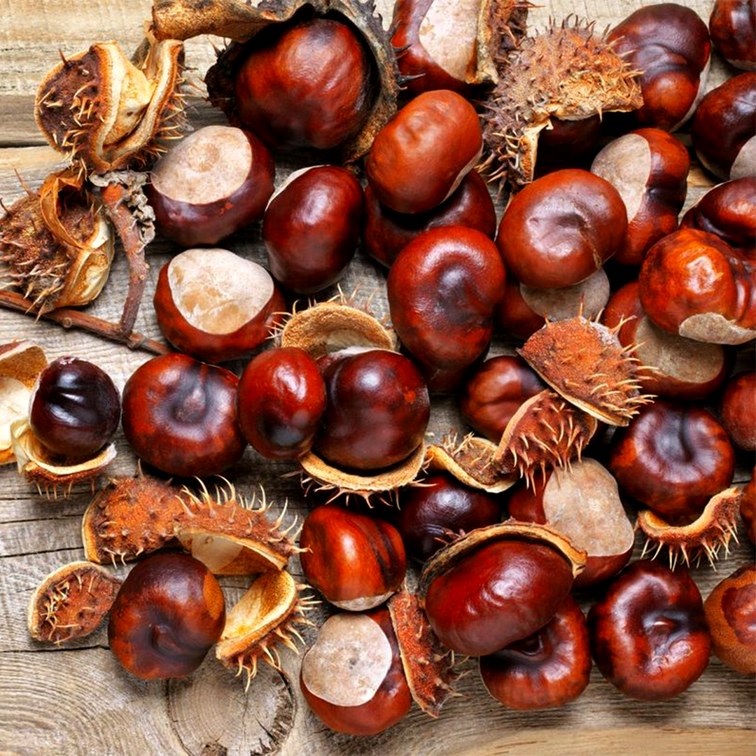 How to Prevent Hemorrhoids Naturally: A Proactive Approach